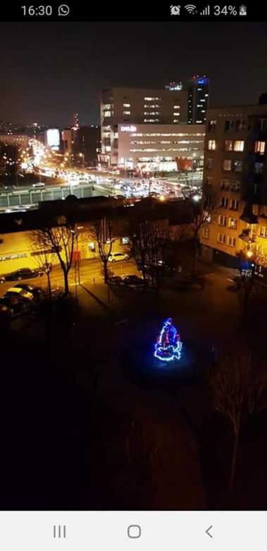 Mieszkańcy przystroili choinkę, a administracja ją... wycięła. Kuriozalna sytuacja w Katowicach