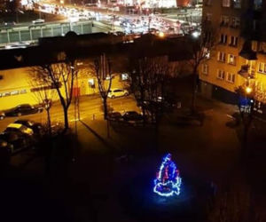 Mieszkańcy przystroili choinkę, a administracja ją... wycięła. Kuriozalna sytuacja w Katowicach