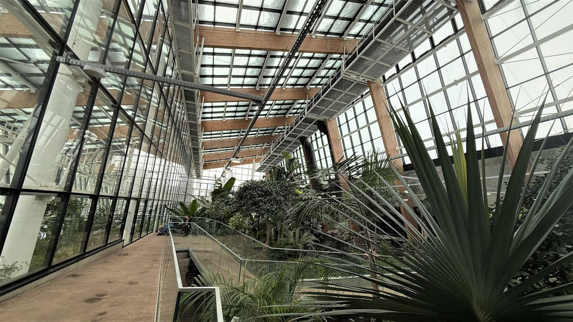 Egzotarium w Sosnowcu