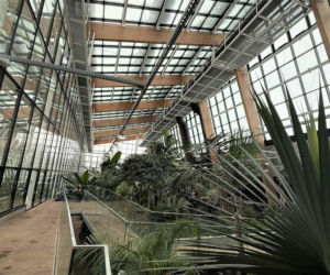 Egzotarium w Sosnowcu