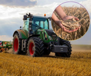 Drastyczny spadek eksportu zboża. Co dalej z rynkiem w Polsce?