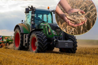 Eksport polskiego zboża ostro wyhamował. Polska ma poważny problem. Co dalej z rynkiem?