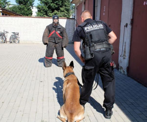 Szkolenie psów policyjnych w Bielsku Podlaskim. Zobacz, jak przebiega