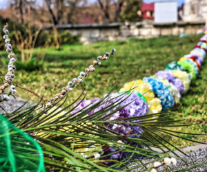 Niedziela Palmowa w Pińczowie. 2026