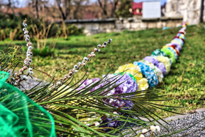 Niedziela Palmowa w Pińczowie. 2026