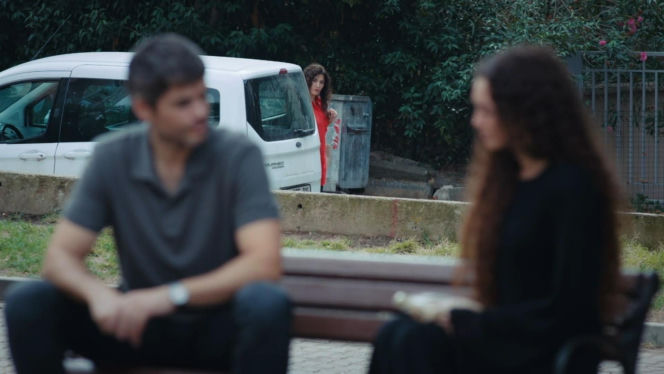 Dziedzictwo, odc. 897. Nana, Poyraz, Cansel