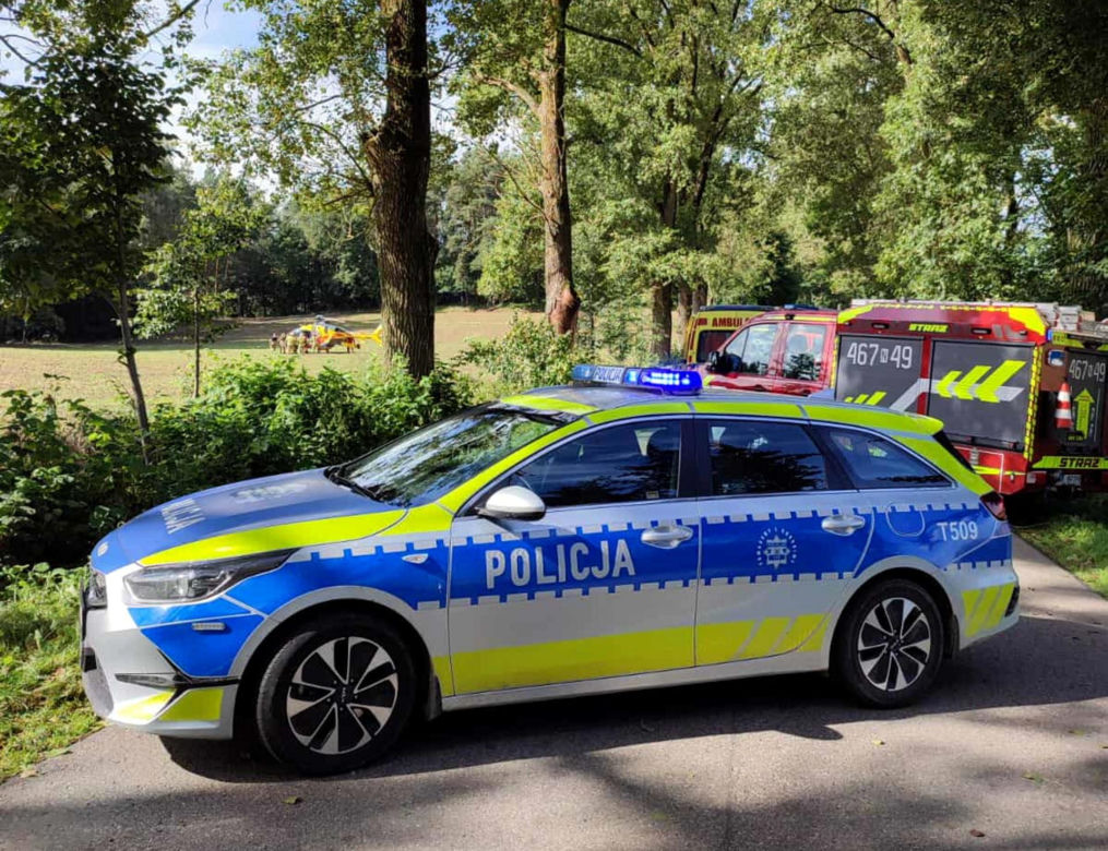 Młody kierowca wjechał w drzewo. 29-latek jechał bez pasów i prawa jazdy