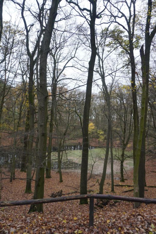 Rezerwat przyrody Meteoryt Morasko