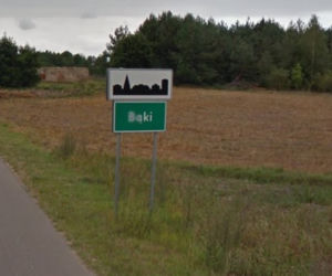 Bąki (pow. mławski)