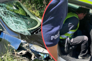 Nie żyje 45-letni rowerzysta. Zatrzymano obywatela Ukrainy 