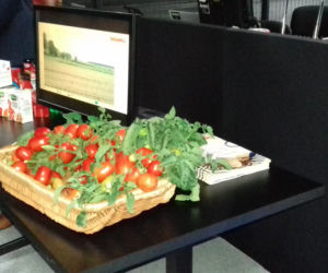 Konferencja ncbr w fabryce leków Adamed