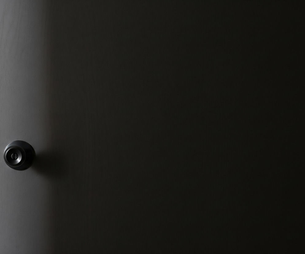 Pionowy kadr przedstawia zamknięte, ciemne drzwi o matowej powierzchni, dominujące większość obrazu. Po lewej stronie drzwi widoczna jest srebrna, okrągła klamka, rzucająca niewielki cień na drzwi. Lewa krawędź drzwi styka się z jasną, pionową futryną, która również rzuca cień na sąsiadującą ścianę po lewej stronie kadru. Po prawej stronie drzwi, przy samej krawędzi, widać ciemne, pionowe zawiasy, łączące drzwi z ciemniejszym tłem. Oświetlenie pada z lewej strony, tworząc kontrastowe cienie i podkreślając teksturę powierzchni.