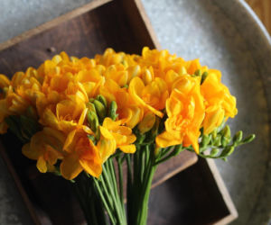 Tych kwiatów nie kupuj, jeśli nie chcesz spać w salonie. Nie uwierzysz, co oznaczają!