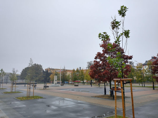 7. Powiat żuromiński