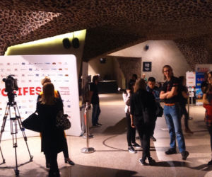 Rozpoczął się MFF Tofifest w Toruniu. Wręczono pierwsze nagrody! 