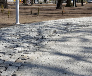 Od dziś otwarte lasy i parki. Ale parki Heermanna i Jonstona wciąż ogrodzone