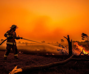 Interwencje strażaków Zachodniopomorskie. Ile wyjazdów po wichurach i pożarach traw?