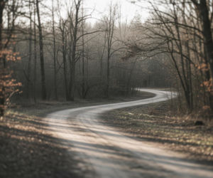 Niepełnosprawny 23-latek w lesie. Jaki finał ma ten bezmyślny żart?