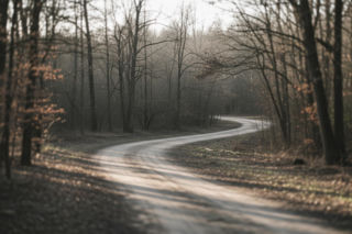 Niepełnosprawny 23-latek w lesie. Jaki finał ma ten bezmyślny żart?