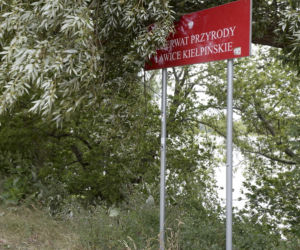 12-latka utonęła w Wiśle