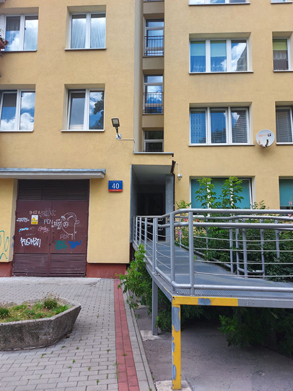Plaga Szczurów na Międzynarodowej