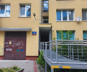 Plaga Szczurów na Międzynarodowej