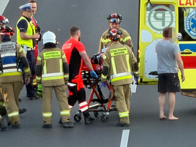 Poważny wypadek na S8. Troje dzieci trafiło do szpitala