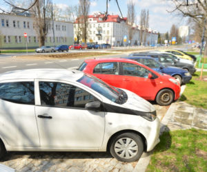Wojewodo ratuj przed parkometrami!