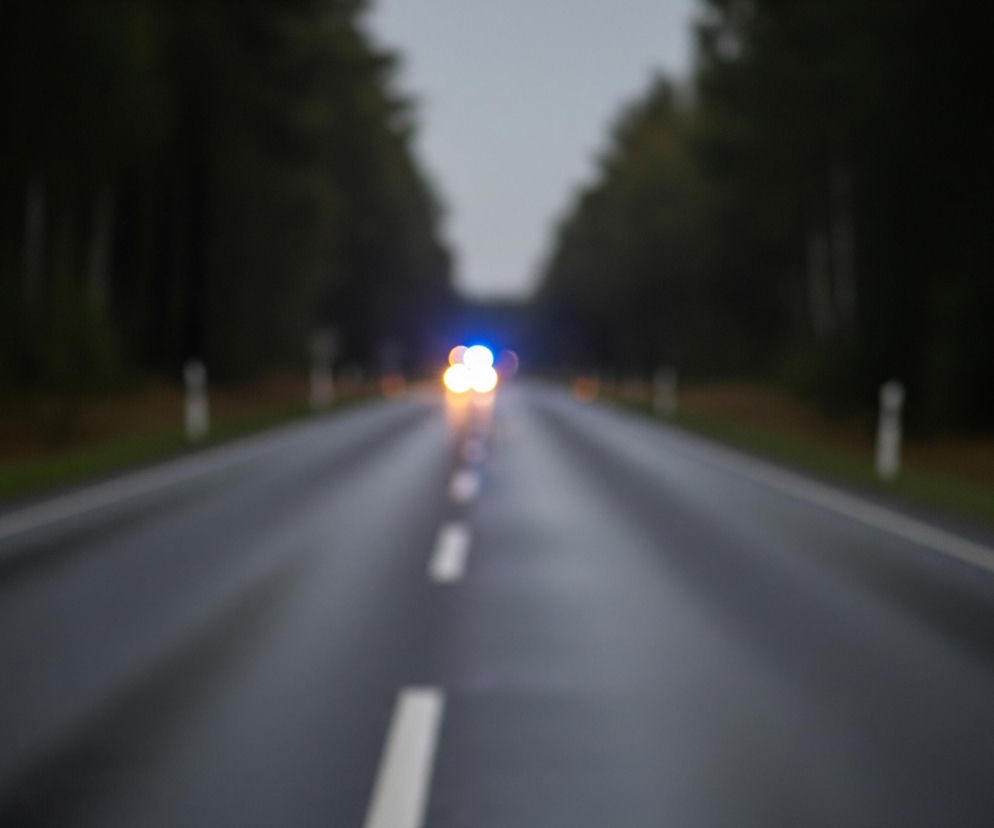 Droga asfaltowa, z białymi przerywanymi liniami na środku, rozciąga się w głąb kadru. Po obu stronach jezdni rosną ciemne drzewa, tworząc swoisty tunel. Na horyzoncie, w oddali, widoczne są rozmyte światła: jedno niebieskie i kilka pomarańczowych, zlewających się w rozmazaną plamę. Powierzchnia drogi jest mokra i odbija światło, a na poboczu widoczne są białe słupki drogowe.