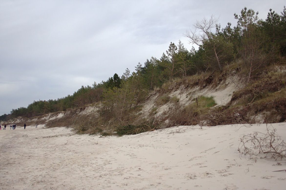 Miejsce 9. plaża w Grzybowie