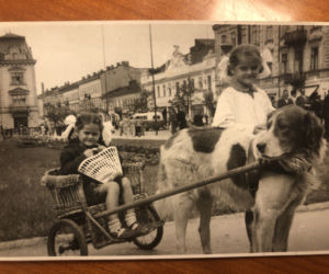 Pokolenie fotografów Sztompke przy pl. Konstytucji 3 maja
