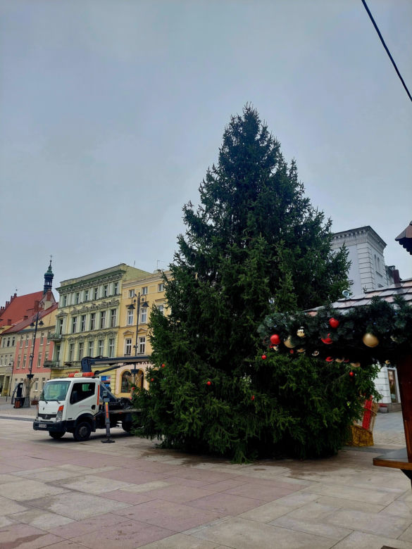Choinka stoi. Most Staromiejski się stroi. Bydgoszcz rozbłyśnie już 21 listopada 2025. Rusza Bydgoski Jarmark Świąteczny