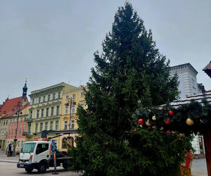 Choinka stoi. Most Staromiejski się stroi. Bydgoszcz rozbłyśnie już 21 listopada 2025. Rusza Bydgoski Jarmark Świąteczny