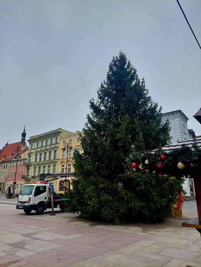 Choinka stoi. Most Staromiejski się stroi. Bydgoszcz rozbłyśnie już 21 listopada 2025. Rusza Bydgoski Jarmark Świąteczny