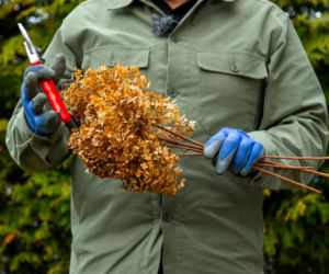 Wiosenne porządki w ogrodzie