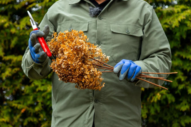 Wiosenne porządki w ogrodzie
