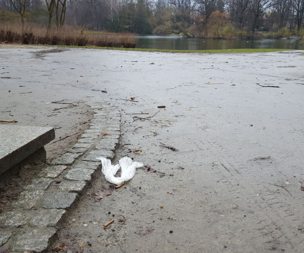 Stawy we wrocławskich parkach pełne śmieci