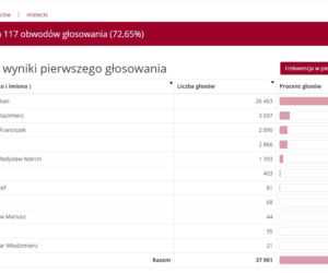 Wybory prezydenckie 2020: Jak głosowali mieszkańcy Podkarpacia