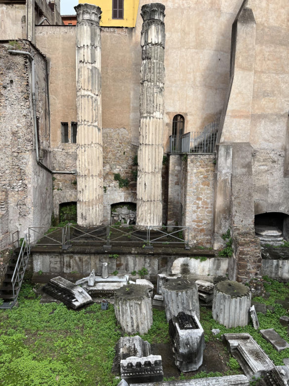 Largo Argentina w Rzymie. Koty zamieszkały w starożytnych ruinach - zobacz zdjęcia