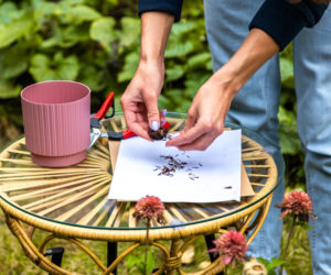 Murator Ogroduje, realizacje