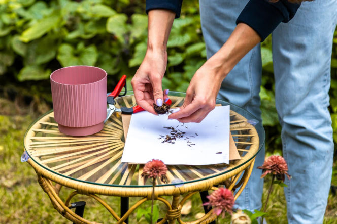 Murator Ogroduje, realizacje