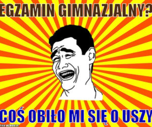 Memy egzamin gimnazjalny