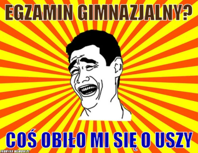 Memy egzamin gimnazjalny