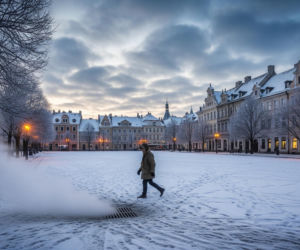 Chełm 12.01.2026: Mróz Ud.jpg