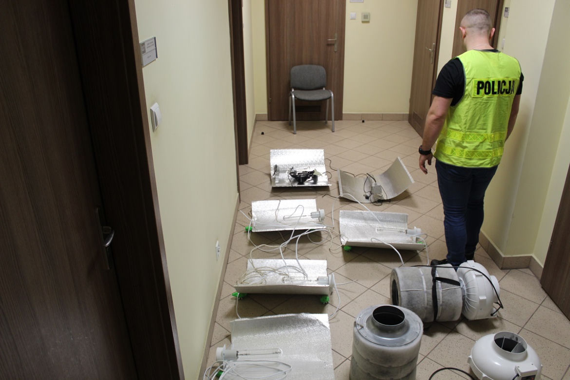 Łódzkie: Rozstawił W DOMU NAMIOT i hodował marihuanę 