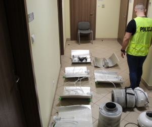 Łódzkie: Rozstawił W DOMU NAMIOT i hodował marihuanę 