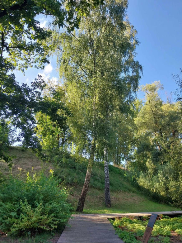 Park Miejski w Starachowicach