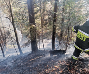 Wyrzucał popiół z kominka, ogniem zajął się hektar lasu w Baligrodzie [Zdjęcia]