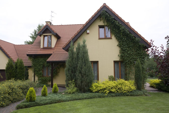 Przedogródek