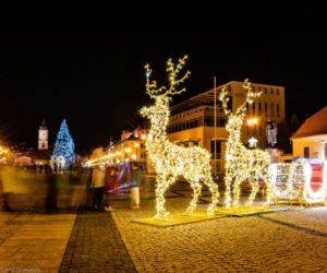 Białystok. Świąteczne iluminacje rozbłysły w mieście. Coś pięknego. Musisz to zobaczyć!